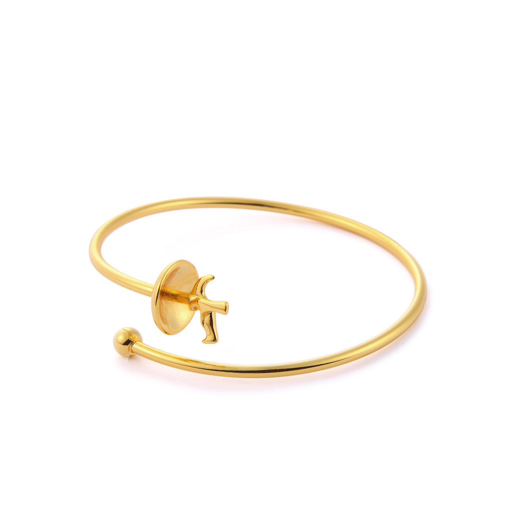 Fencing Bracelet